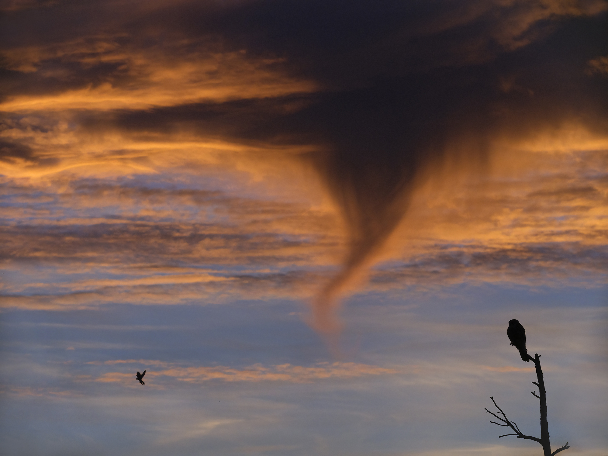 Der Tornado schafft es nicht, sich komplett zu entwickeln.